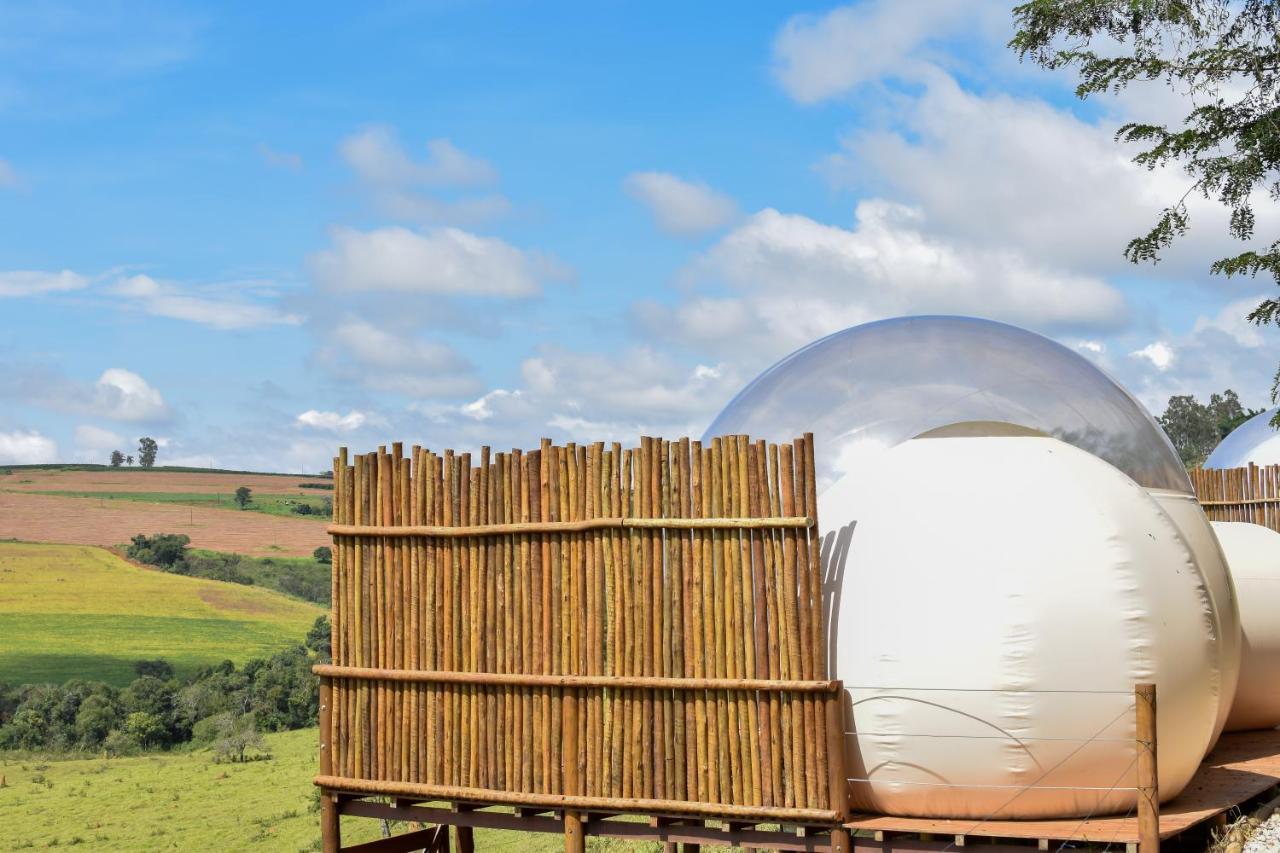 Bubble Pingo Do Mula Serra Da Canastra Sao Roque de Minas Ngoại thất bức ảnh