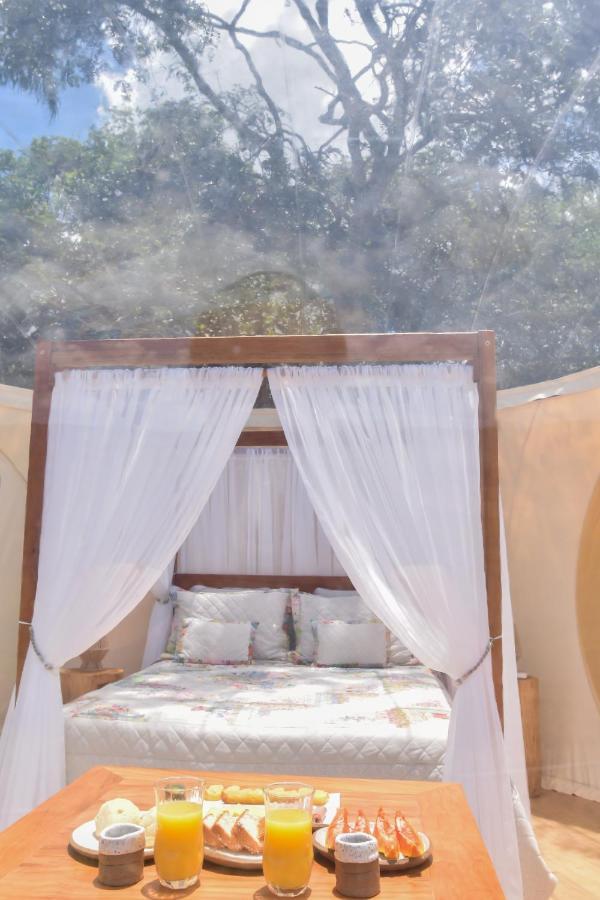 Bubble Pingo Do Mula Serra Da Canastra Sao Roque de Minas Ngoại thất bức ảnh