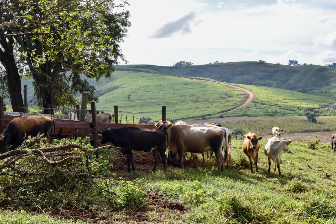Bubble Pingo Do Mula Serra Da Canastra Sao Roque de Minas Ngoại thất bức ảnh