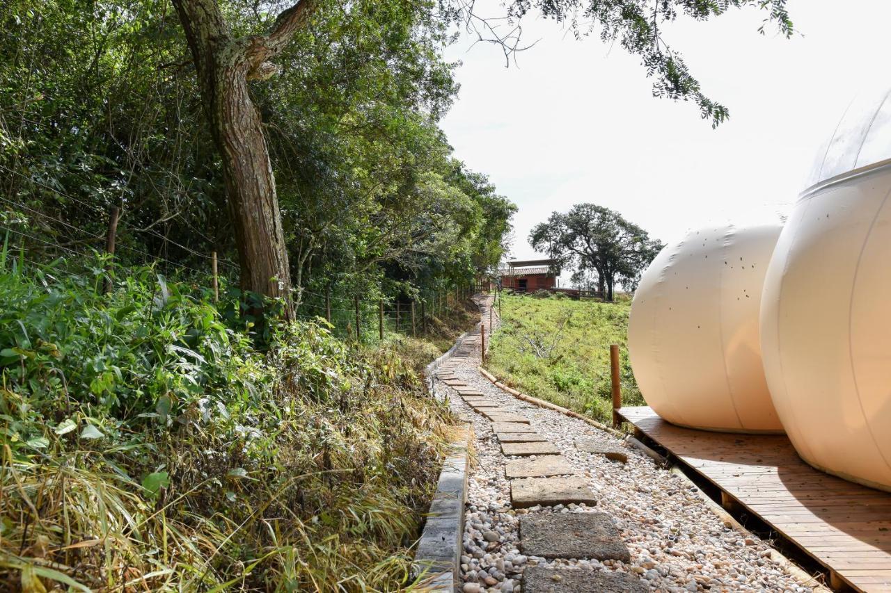 Bubble Pingo Do Mula Serra Da Canastra Sao Roque de Minas Ngoại thất bức ảnh