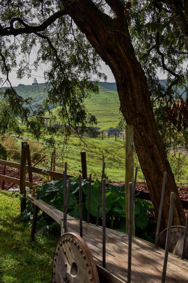 Bubble Pingo Do Mula Serra Da Canastra Sao Roque de Minas Ngoại thất bức ảnh